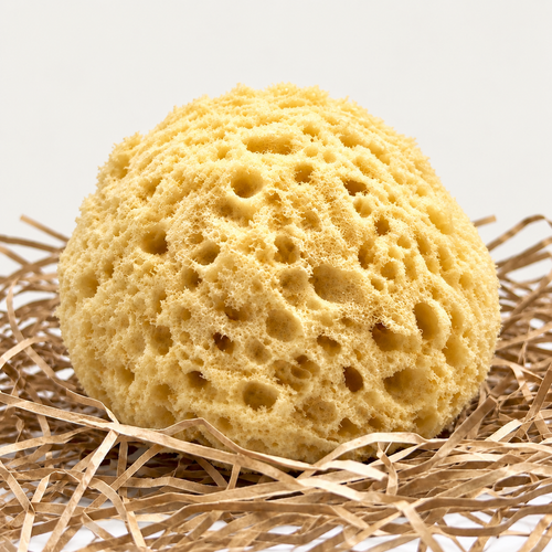Honeycomb Shower Sponge