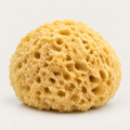 Honeycomb Shower Sponge