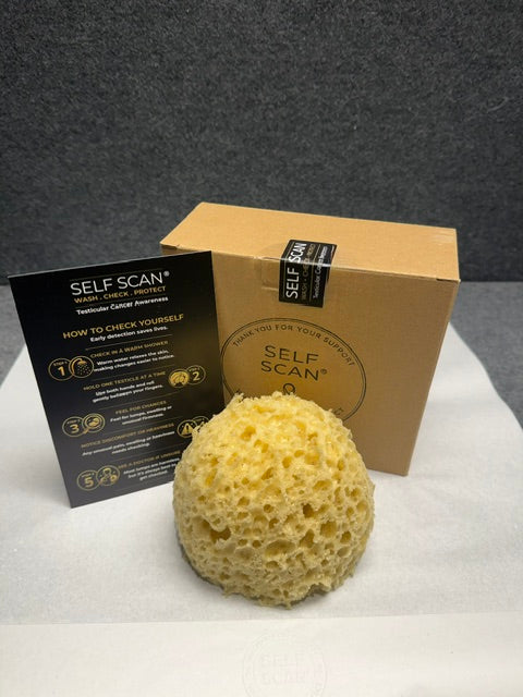 Honeycomb Shower Sponge